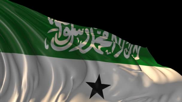 Vlajka Somalilandu — Stock video