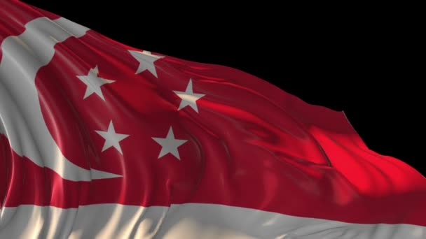Singapurská vlajka — Stock video