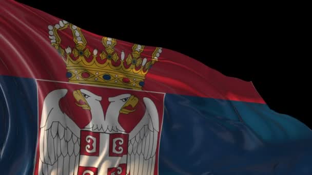 Flag of Serbia — Stock Video