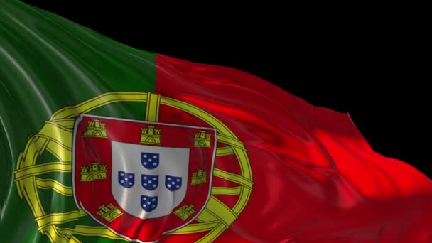 Portugalská vlajka — Stock video