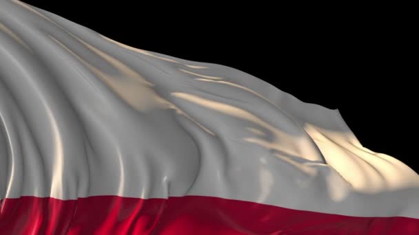 Bandeira de poland — Vídeo de Stock