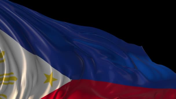 Flag of Philippines — Stock Video