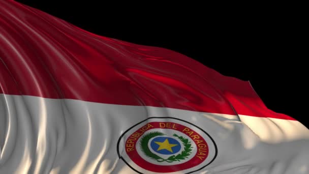 Flagge Paraguays — Stockvideo