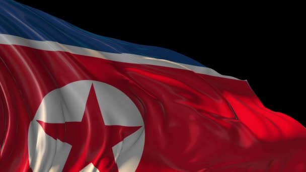 Flagge Nordkoreas — Stockvideo