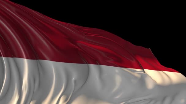 荷兰的旗子 — 图库视频影像