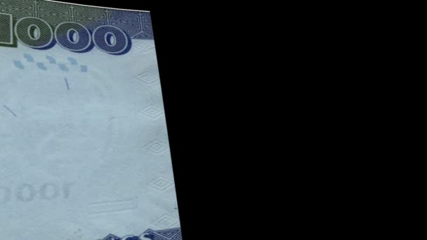 Tanzania banknote Wiper — Stock Video