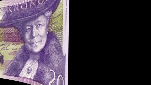 İsveç Krona banknot Geçiş — Stok video