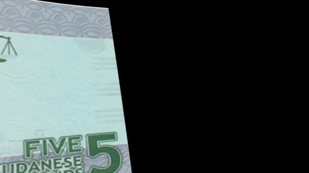 Przejście banknotu Sudanu — Wideo stockowe