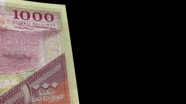 Billete de Somalia Transición — Vídeo de stock