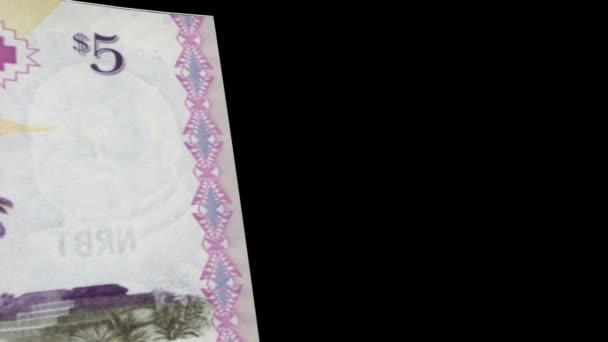Тонг склоочищувача банкнот — стокове відео