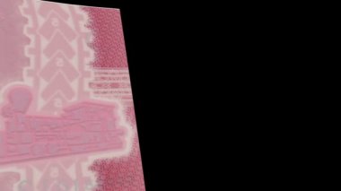 Paraguay banknot silecek