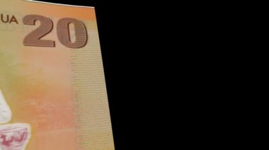 Nikaragua banknot silecek