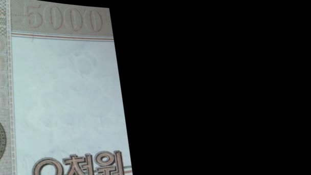 北朝鮮紙幣ワイパー — ストック動画
