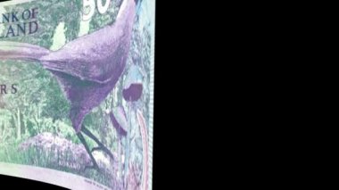 Yeni Zelanda Doları banknot geçiş