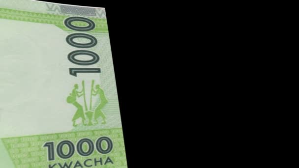 Limpiador de billetes de Malawi — Vídeos de Stock