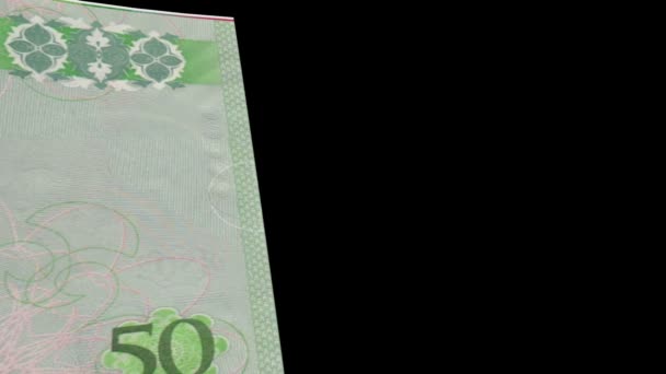 Libya banknote Wiper — Stock Video