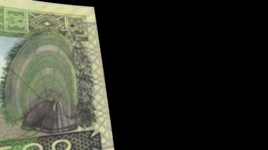 Papua Yeni Gine banknot silecek