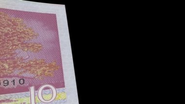 Estonya para banknot silecek