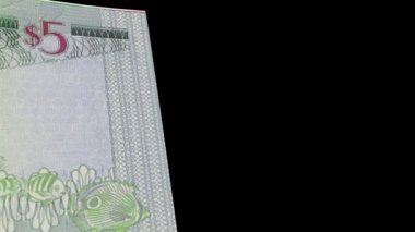 Dominika banknot geçiş