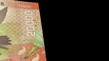 Kosta Rika banknot silecek