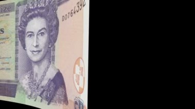 Belize banknot silecek