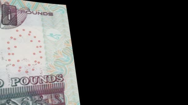 Єгипет гроші банкнота переходу — стокове відео