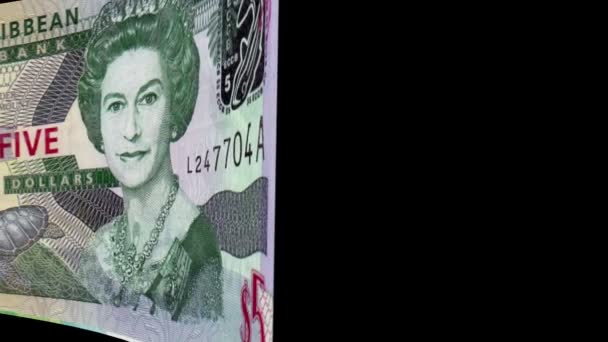 Antigua banknote Wiper — Stock Video