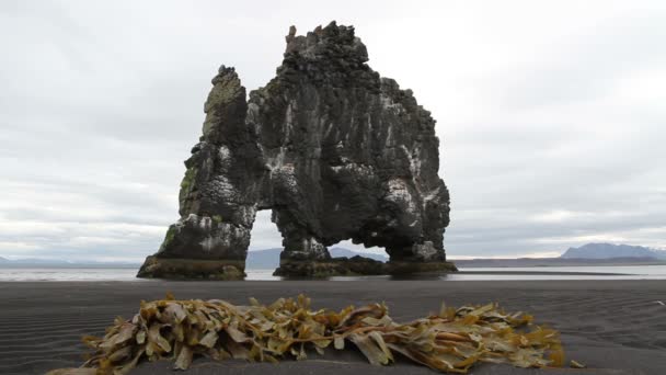 Iceland Dinosaur Rock — Stock Video