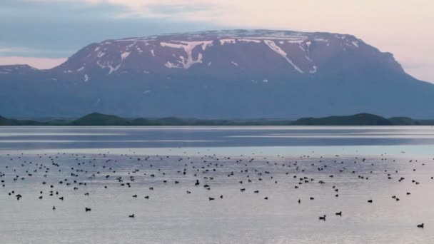 Iceland paisagem — Vídeo de Stock