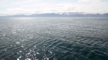 İzlanda deniz yelken