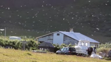 İzlanda küçük bir köy