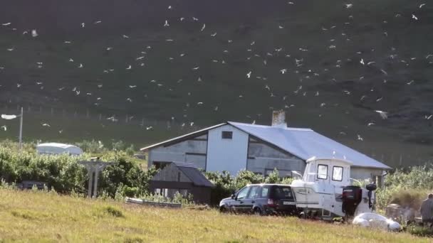 Islândia Pequena aldeia — Vídeo de Stock