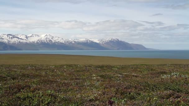 İzlanda manzara — Stok video