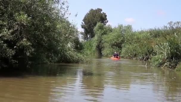 Hombre navegando en kayak — Vídeos de Stock