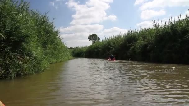 Hombre navegando en kayak — Vídeo de stock