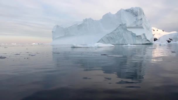 Plavba plovoucí ledovce — Stock video