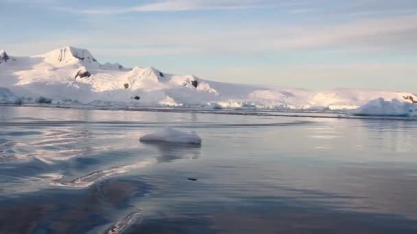 Navegando por um iceberg flutuando — Vídeo de Stock