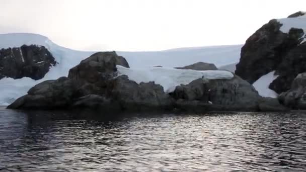 Beautiful Antarctica Landscape — Stock Video