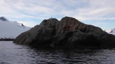 Antarktika su üzerinde yelken