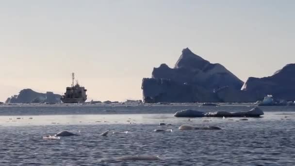 Ship Sail in Antarctica — Stock Video