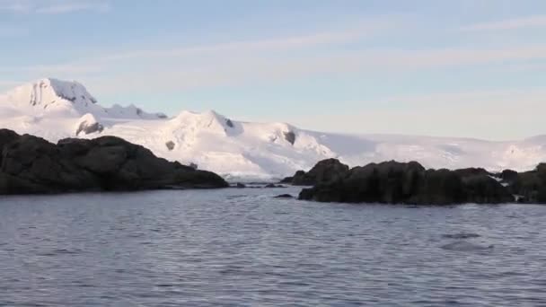 Beautiful Antarctica Landscape — Stock Video