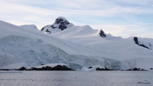 Sea ice floating — Stock Video