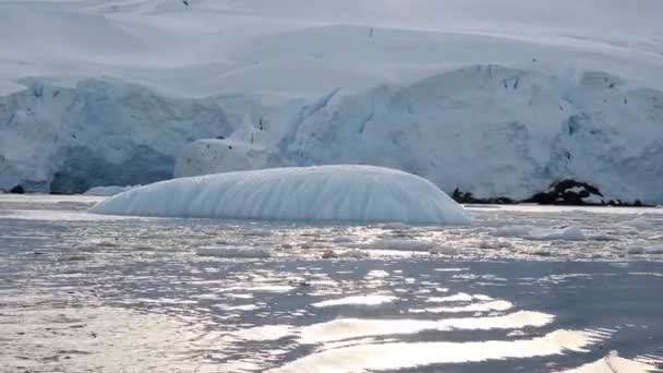 Парусный спорт на айсбергах — стоковое видео