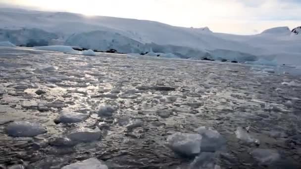 海上冰浮运 — 图库视频影像