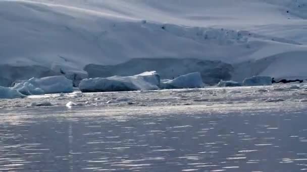 Hielo marino flotante — Vídeos de Stock