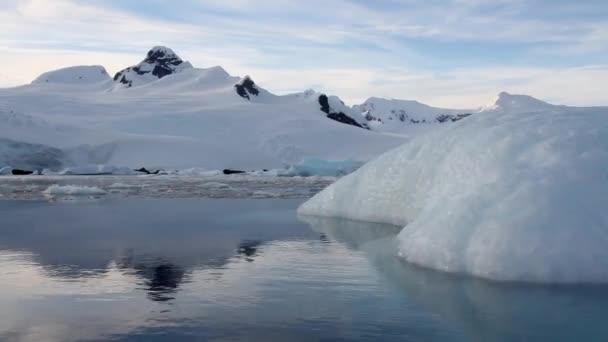 Парусный спорт в Антарктиде — стоковое видео