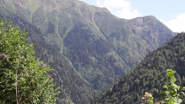 Svaneti hügel und berge — Stockvideo