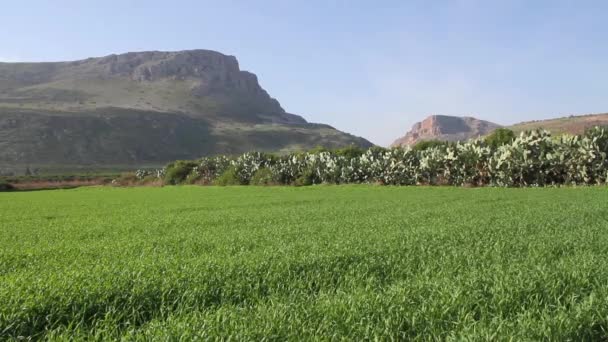 Monte Arbel vista — Vídeos de Stock