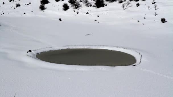 Birkat mann im hermonenberg — Stockvideo