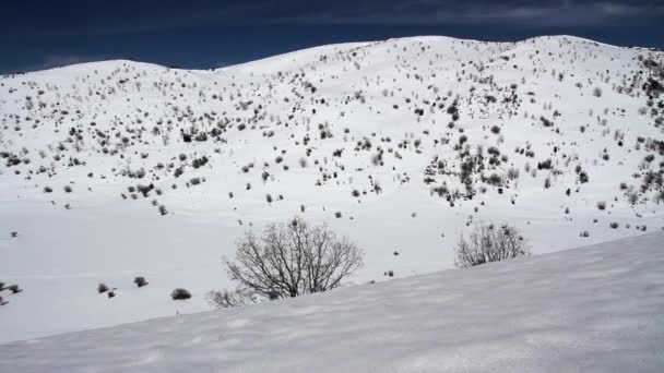 Karlı dağ manzarası — Stok video